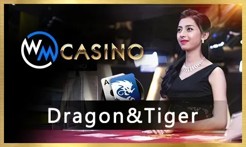 Jilibet88. Live Casino Games